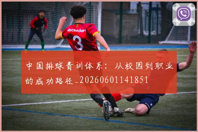 中国排球青训体系：从校园到职业的成功路径_20260601141851